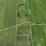 Tanbo Art Wajah Bupati Hamenang Hiasi Sawah Juwiring Klaten